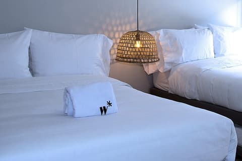 Eco by Wynwood House