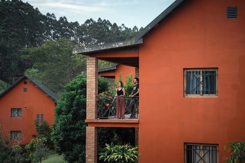 Eulophiella, Terrace/patio