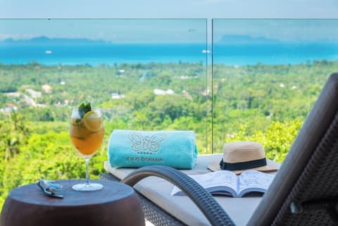 Ida B Domain, Living area