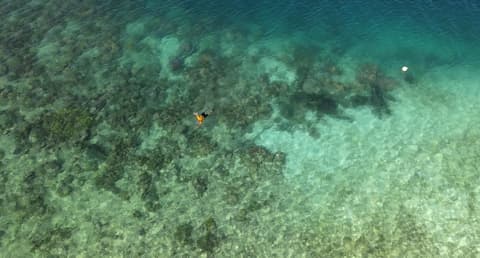 Putuo Ecolodge - House - Sleeps 2 - Seaside