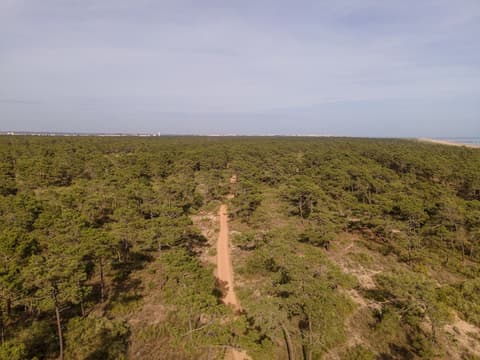 Casablanca Unique Hotel