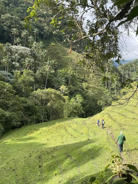 Sazagua Reserva Natural Cocora, Exterior