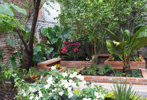 Capital O Casa Rotter