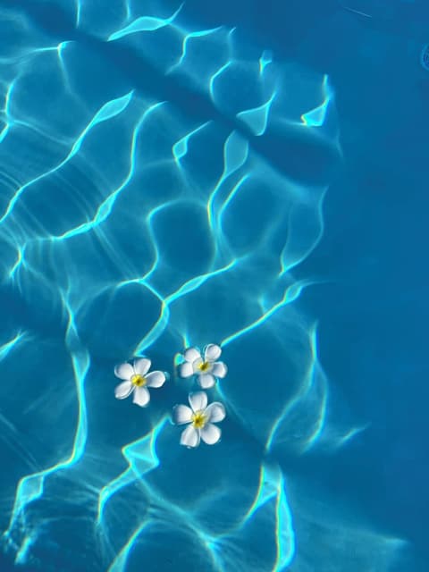 Olzadia Boutique Hotel