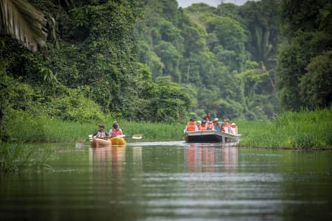 Hotel Pura Natura Beachfront Tortuguero