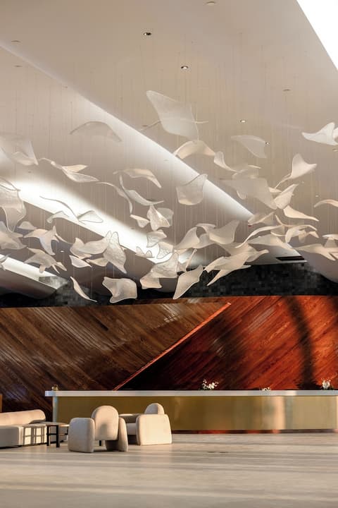 AVA Resort Cancun - All Inclusive