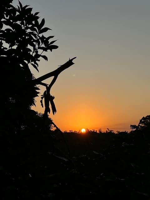 Pousada Recanto dos Pássaros