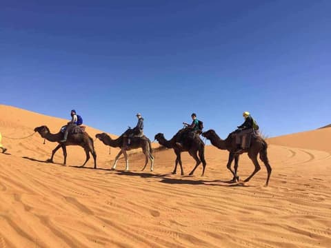 Overnight Camp Merzouga & Camel Tours