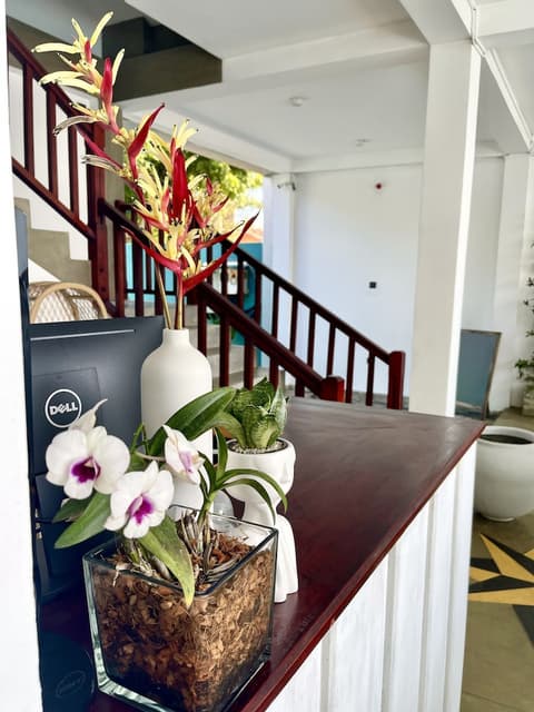 Smeralda Beach Hotel