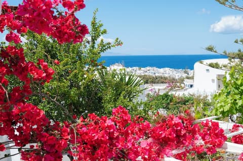 Boutique Di Vito, Exterior