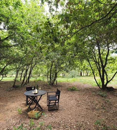 A Leira 116 Cabañas