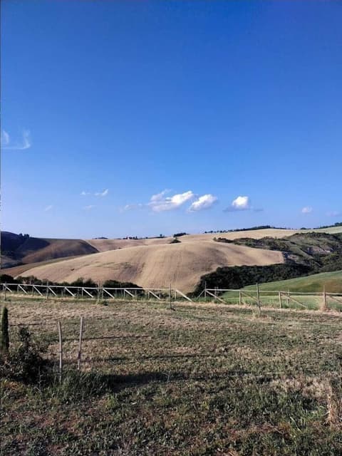 Cordella in Valdorcia Truffle & Olive Oil Resort - Podere Borgasso