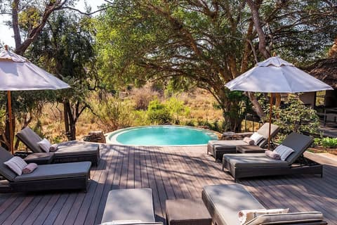 Makalali River Lodge, Terrace/patio