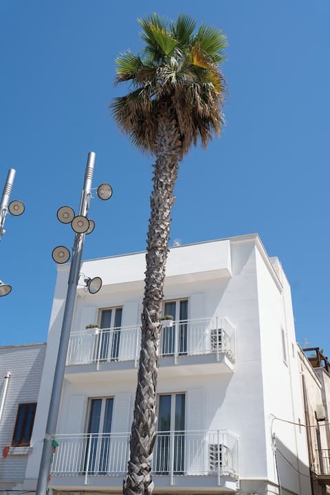 Leluan Bed & Breakfast