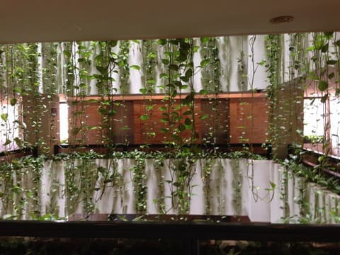 Apart Hotel Toborochi