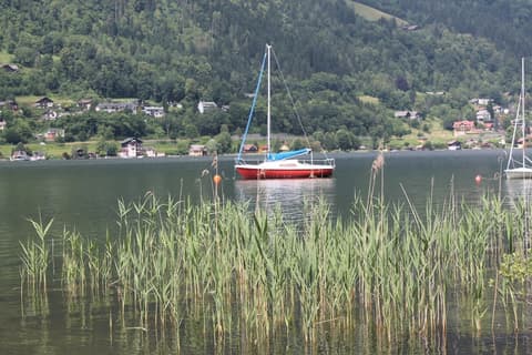 Gasthof - Pension Waldhof