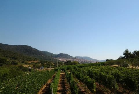 Agriturismo B&B Domo De Resteblas