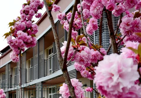 Privilege Apartments