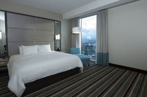 Hilton Garden Inn San Jose La Sabana, Room