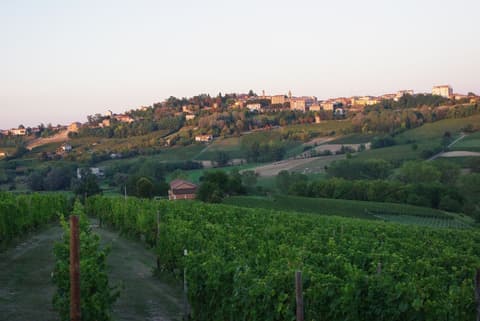 NaturalMente Wine Resort, Property grounds