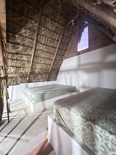 Blue beach Eco-hotel by Sanfabini