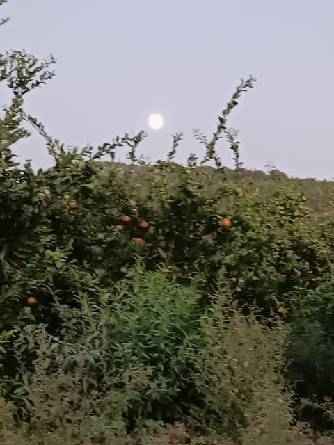 Camino Village Hostel