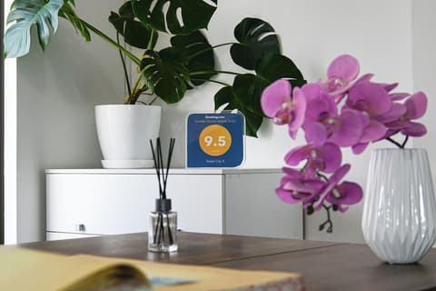 City5 Rooms and Suits