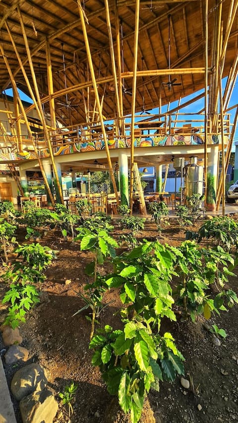 Bonding Coffee Roaster Café & Hotel, Exterior