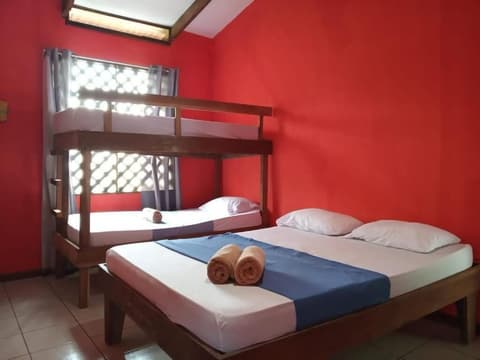 Tortuguero Adventures Beach House