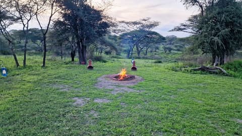 Africa Safari South Serengeti Camping