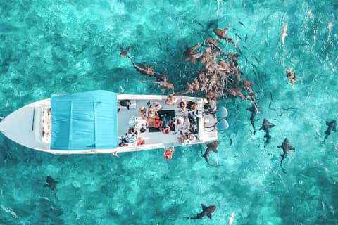 Margaritaville Beach Resort Ambergris Caye - Belize