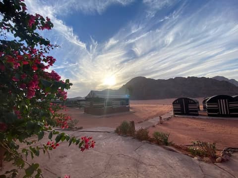 Wadi Rum Golden Camp & Tours