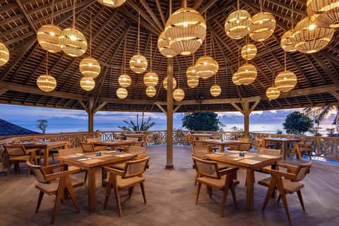 Seven Dreams A Pramana Experience