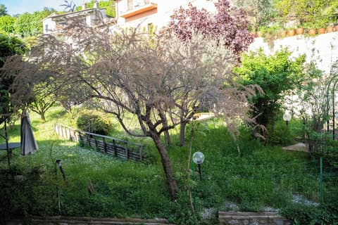 Hotel Belvedere, Room