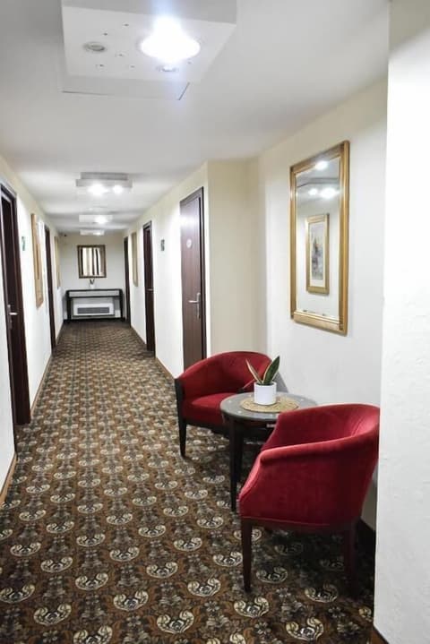 Great Polonia Kraków Kazimierz