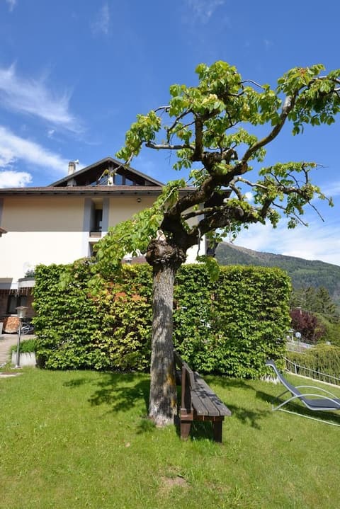 Hotel Sorriso, Exterior