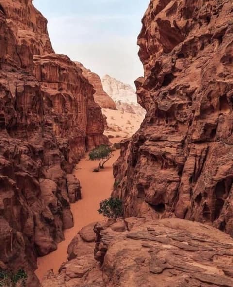 Luxury Wadi Rum Camp
