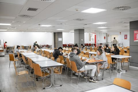 Micampus Galileo Galilei, Restaurant