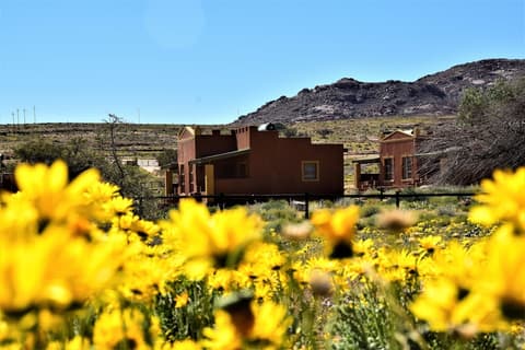 Klein-Aus Vista Desert Horse Inn