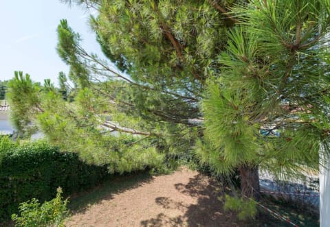 B&B HOTEL Montélimar Nord