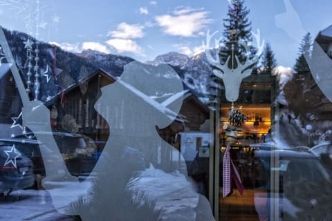 Hotel Mirabel