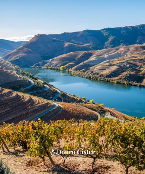 Douro Cister Hotel Resort Rural & Spa
