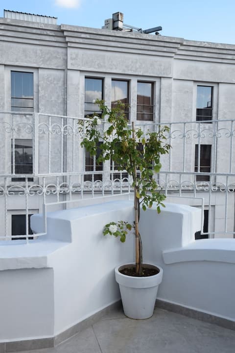 Ragıp Pasha Apartments