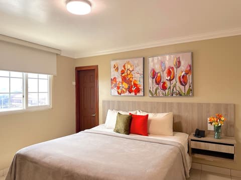 Hotel Andros