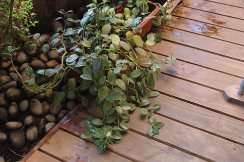 Hotel Boutique Luz de Luna