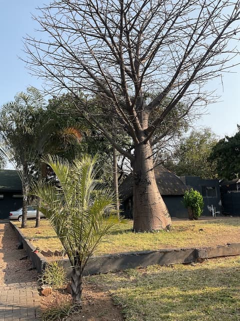 Bothabelo Lodge