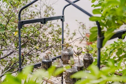 Mangel Halto Aruba one Minute Walk to Beach Apt2