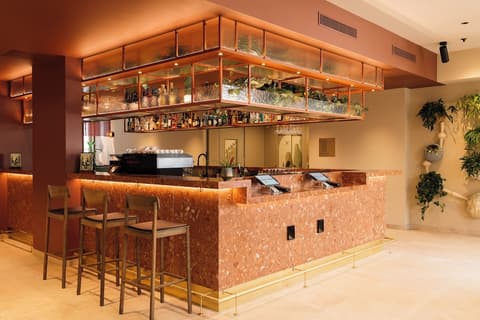 Hotel Schani City