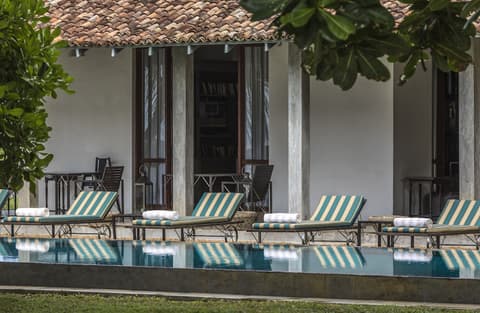 The Frangipani Tree By Edwards Collection