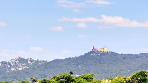 WOT Sarrazola Soul, Exterior